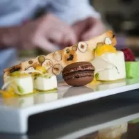 international culinary institute: работы студентов