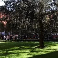 Universita Cattolica - кампус