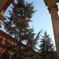 Католический университет святого сердца в Милане - на территории кампуса