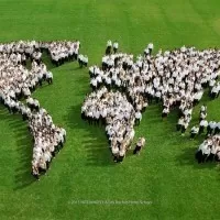 Les Roches швейцарский кампус