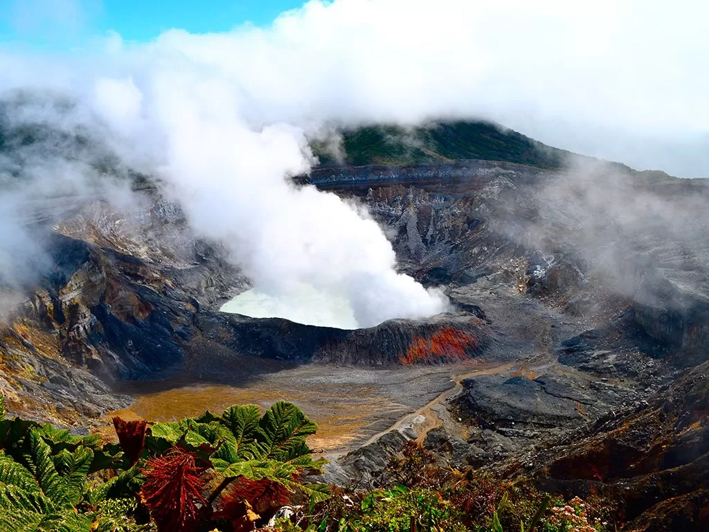 Интервью с преподавателем Les Roches: экологически ответственный туризм