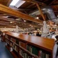 университет Ca Foscari