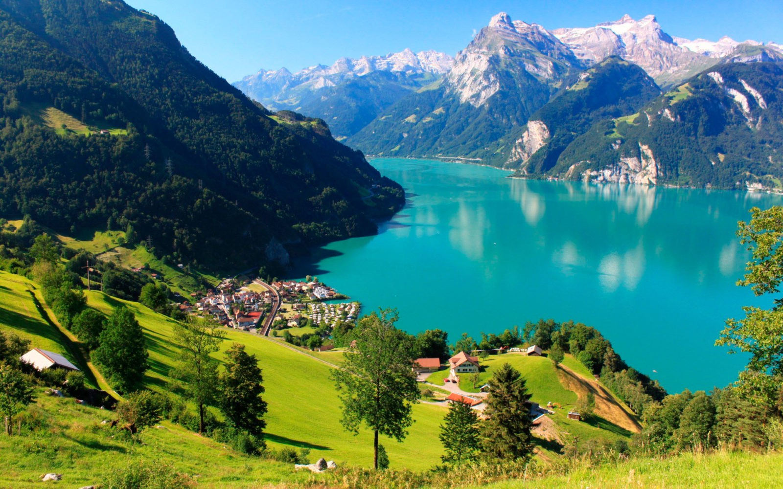 Учеба в Швейцарии: плюсы жизни в стране