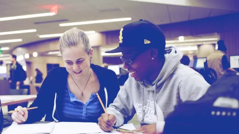 сеть выпускников что это