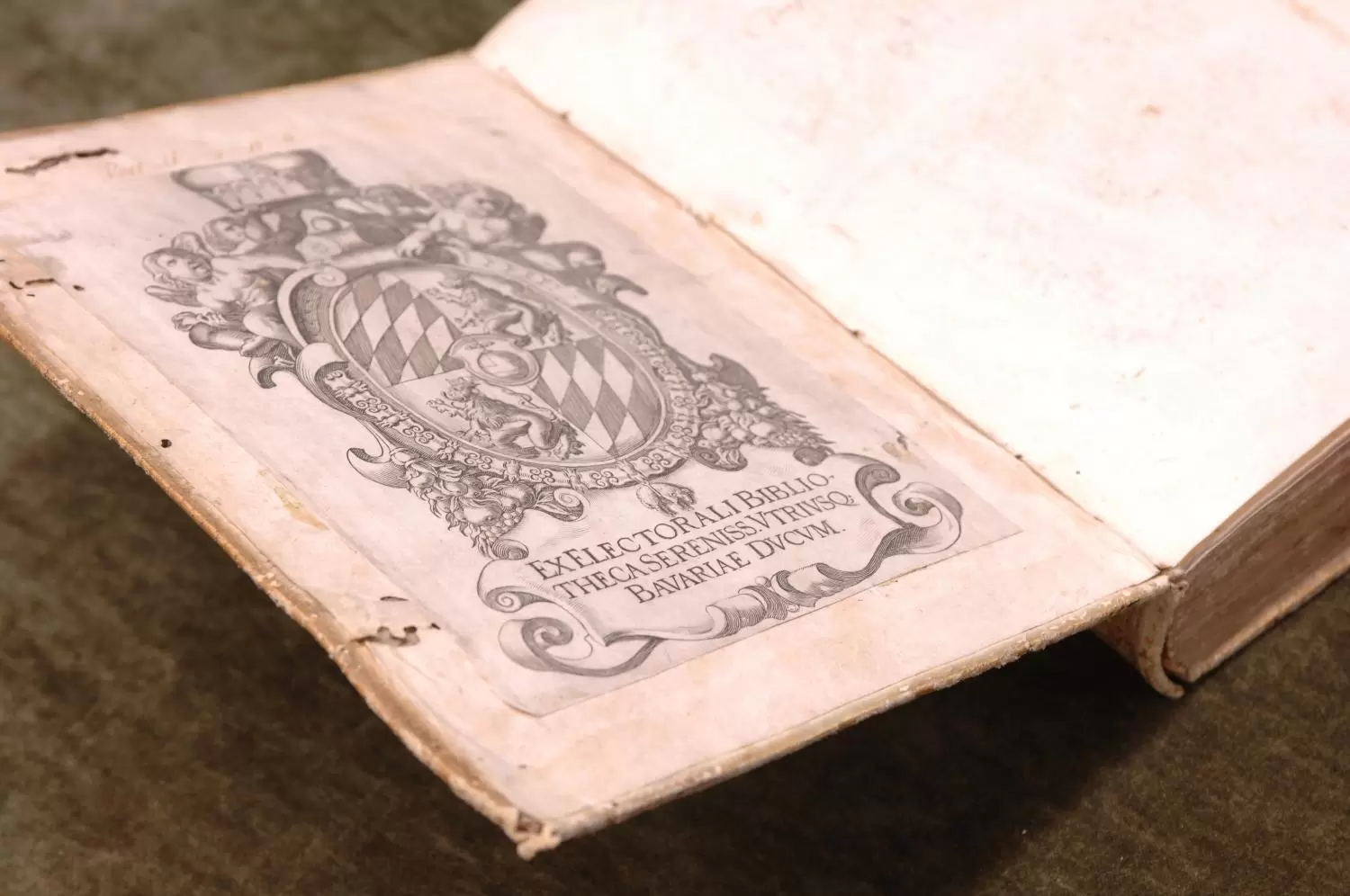 Почему стоит изучать историю в итальянском университете Ка-Фоскари: отзывы выпускников